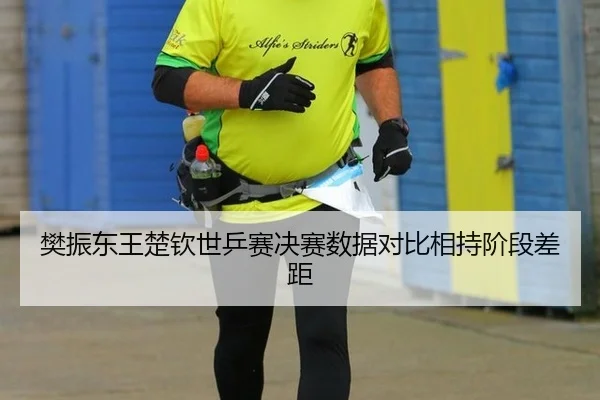 樊振东王楚钦世乒赛决赛数据对比相持阶段差距